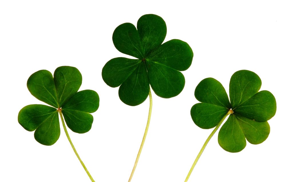 Have the Luck of the Irish Displayed in Your Home